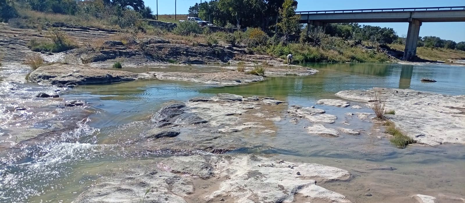 Shallow water running over pale limestone bedrock in a Texas Hill Country river at low flow, with a researcher sampling near a bridge