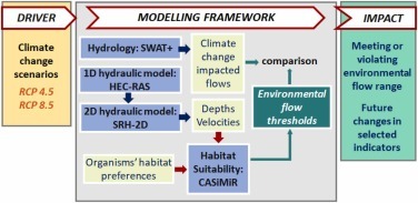 Diagram of a modelling framework: climate change scenarios drive SWAT+ hydrology, 1D and 2D hydraulic models and CASiMiR habitat suitability, leading to environmental flow thresholds and future changes in indicators